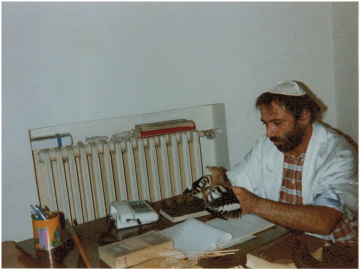 Il Maestro Yisrael Dovid bar Avraham Delle Donne durante lo studio dell’upupa